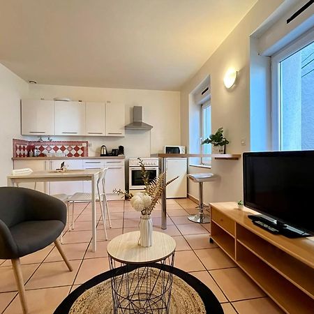 Le Studio Theolier Downtown - Close To Pedestrian Street Tournon-sur-Rhone Eksteriør billede