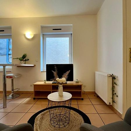 Le Studio Theolier Downtown - Close To Pedestrian Street Tournon-sur-Rhone Eksteriør billede