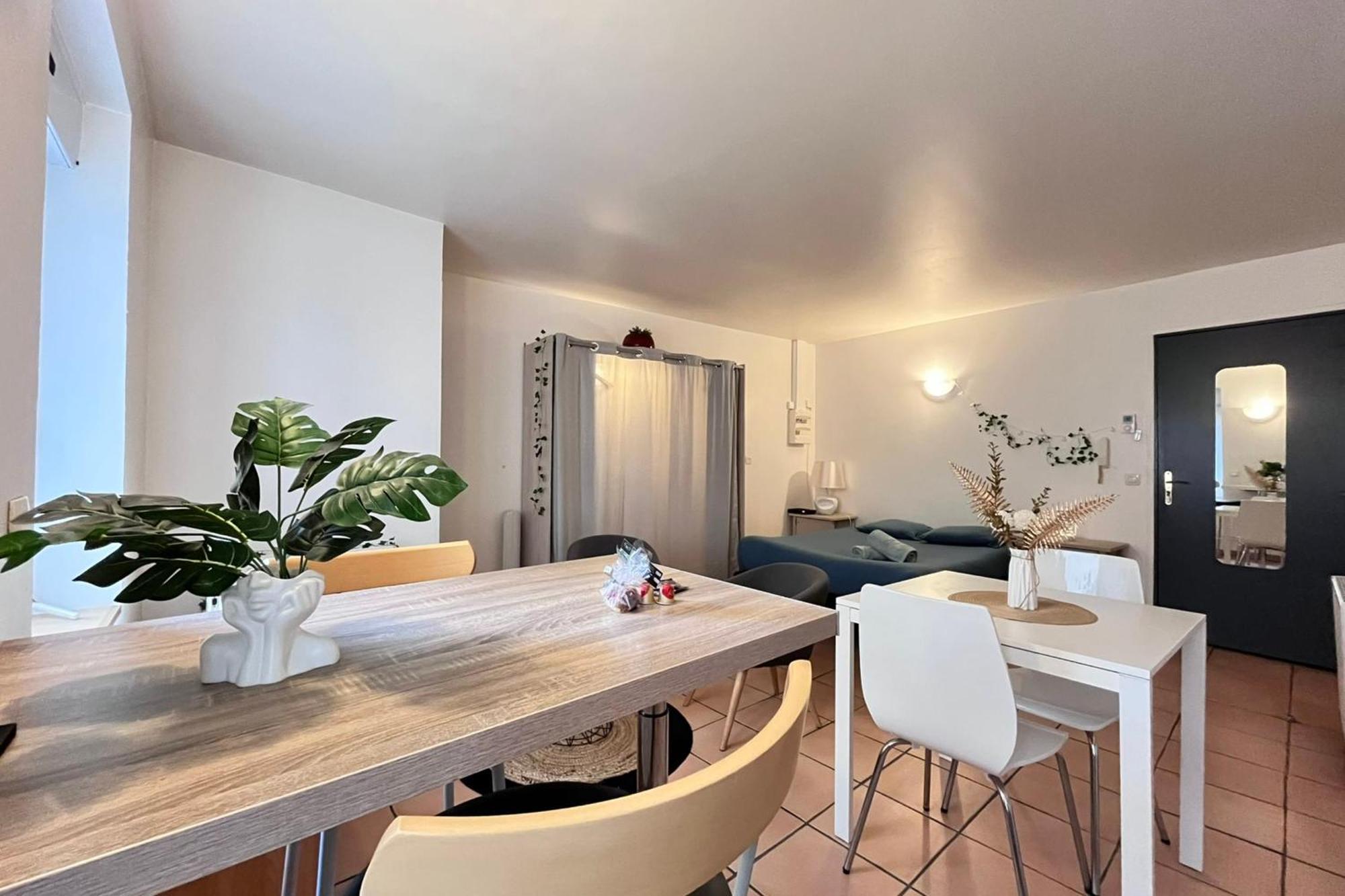Le Studio Theolier Downtown - Close To Pedestrian Street Tournon-sur-Rhone Eksteriør billede