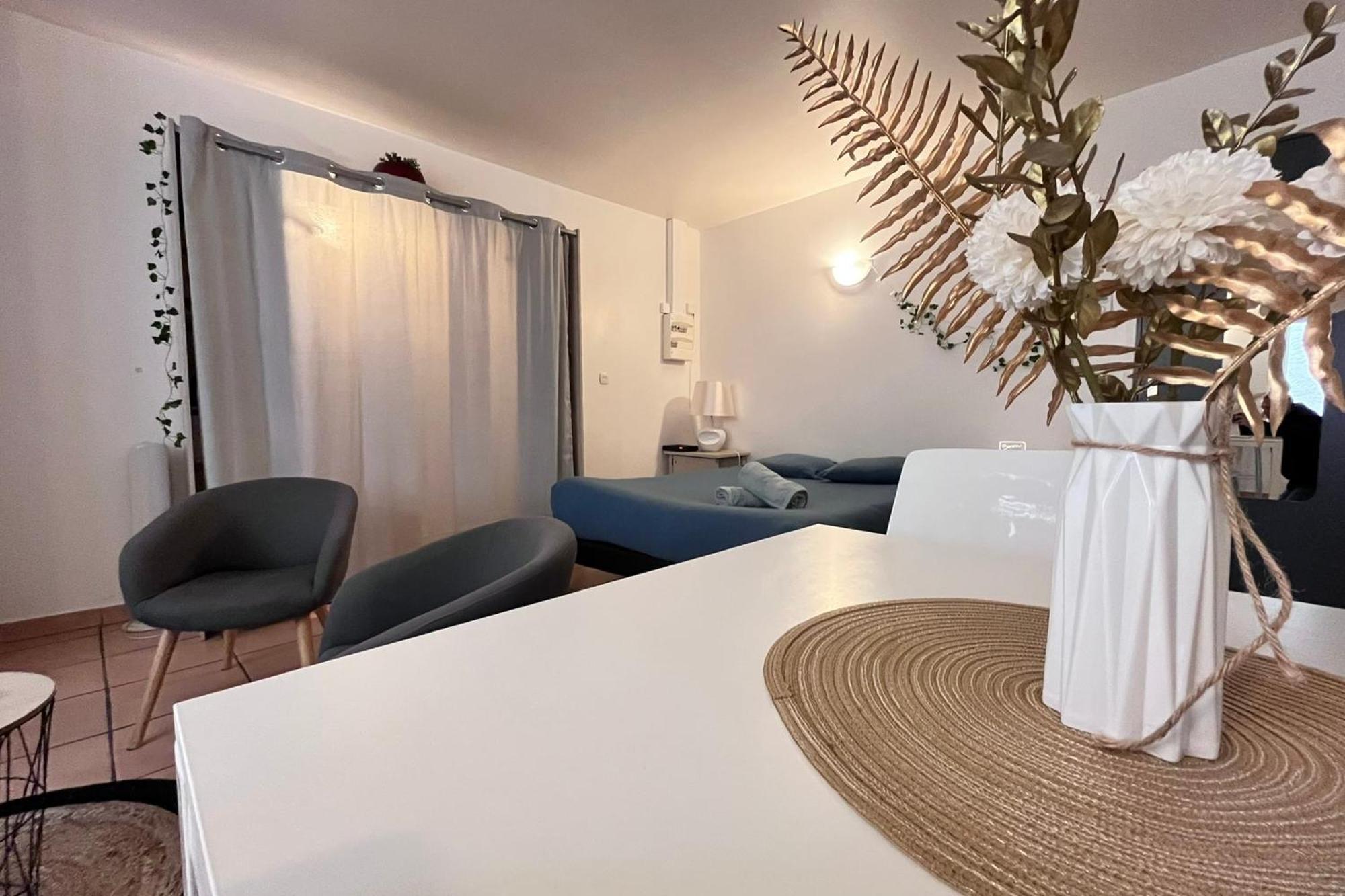Le Studio Theolier Downtown - Close To Pedestrian Street Tournon-sur-Rhone Eksteriør billede