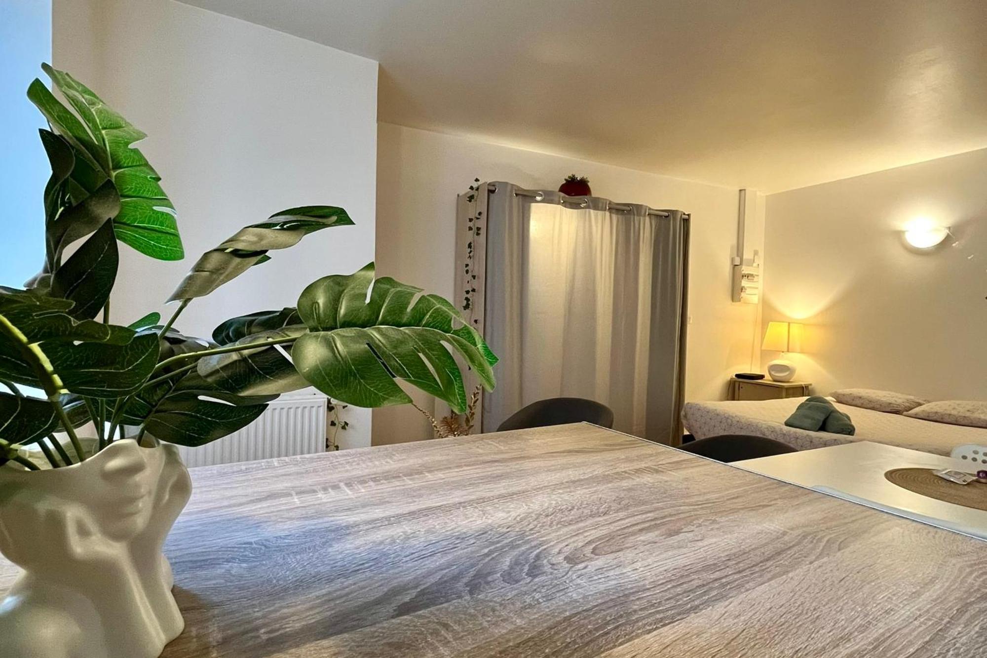 Le Studio Theolier Downtown - Close To Pedestrian Street Tournon-sur-Rhone Eksteriør billede